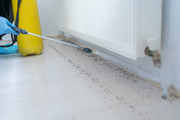 Reliable Stilwell, OK Pest Control Solutions